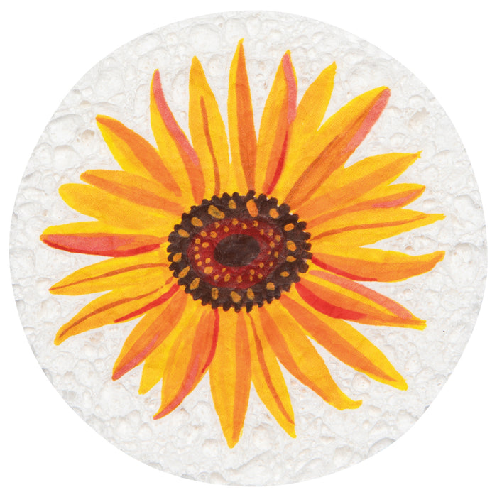 Autumn Bounty Sponge Counter Display - 24 Assorted