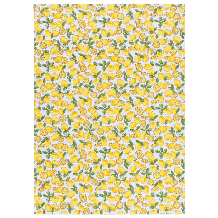 Berries & Fruit Dishtowel Counter Display - 20 Assorted