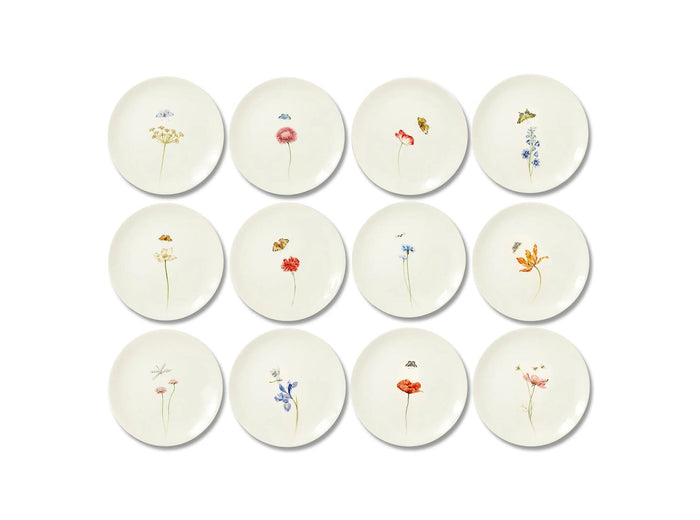 Bloom Silybum Marianum Dinner Plate, 25cm