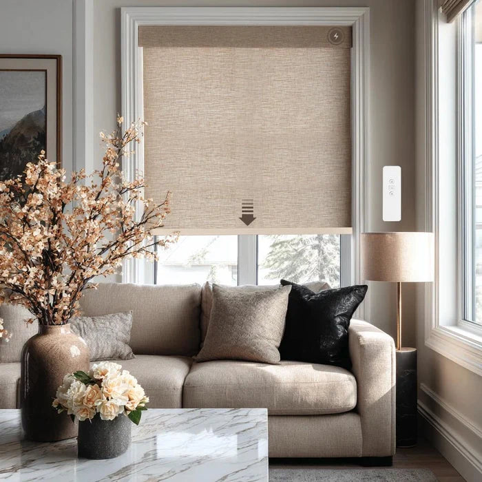 Bodi Blackout | Roller Shades