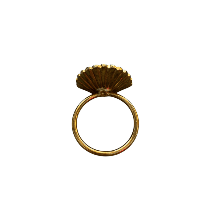 original-brass-scallop-shell_Little-and-Fox