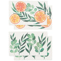 Cedar & Citrus Pop Up Sponges Set of 4 Assorted