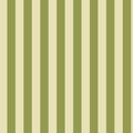 Christchurch Garden City Stripe PRE ORDER