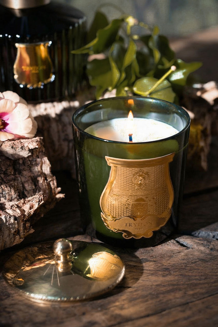 Classic Candle 'Cyrnos' by Trudon, 270g