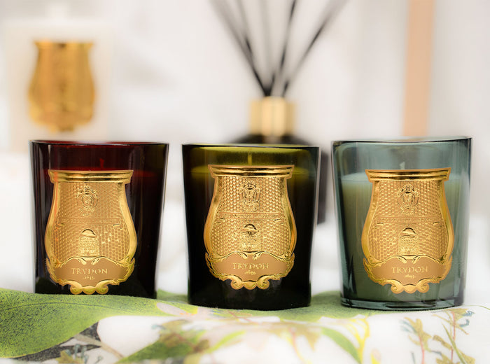 Classic Candle 'Ernesto' by Trudon, 270g