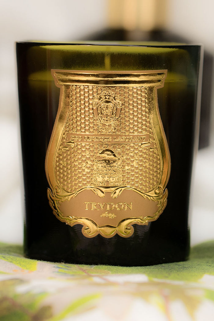 Classic Candle 'Gabriel' by Trudon, 270g