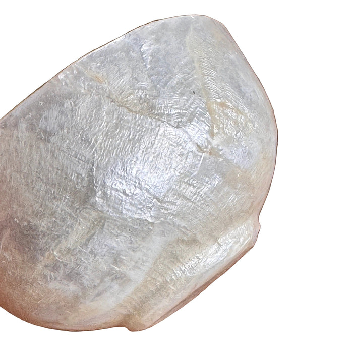 Crushed Shell Mini Bowl