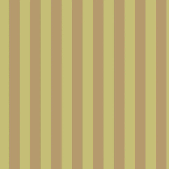 Dunedin Lime Chocolate Stripe PRE ORDER