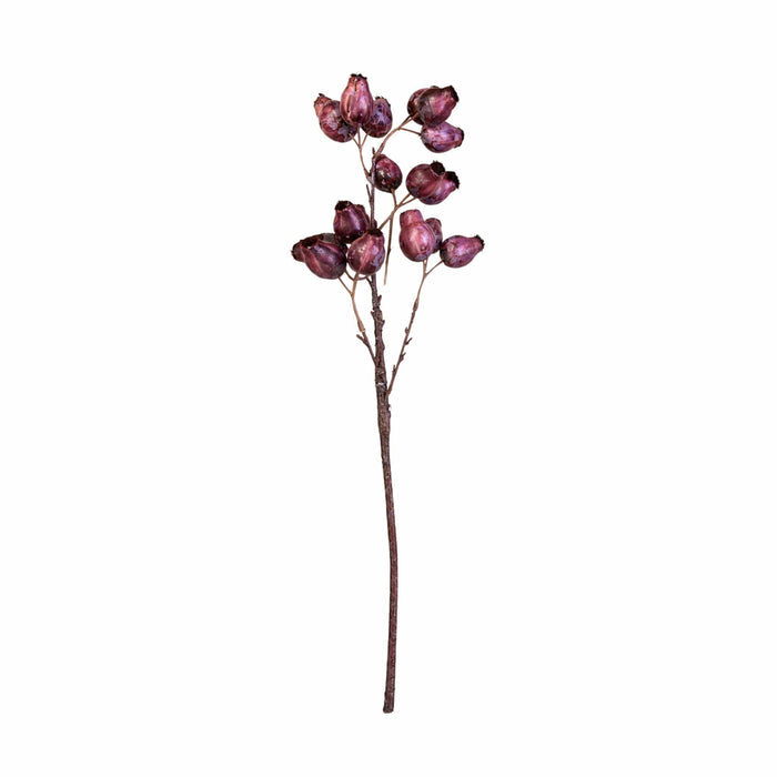 Faux Gum Nut Pods