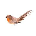 Feather fantail