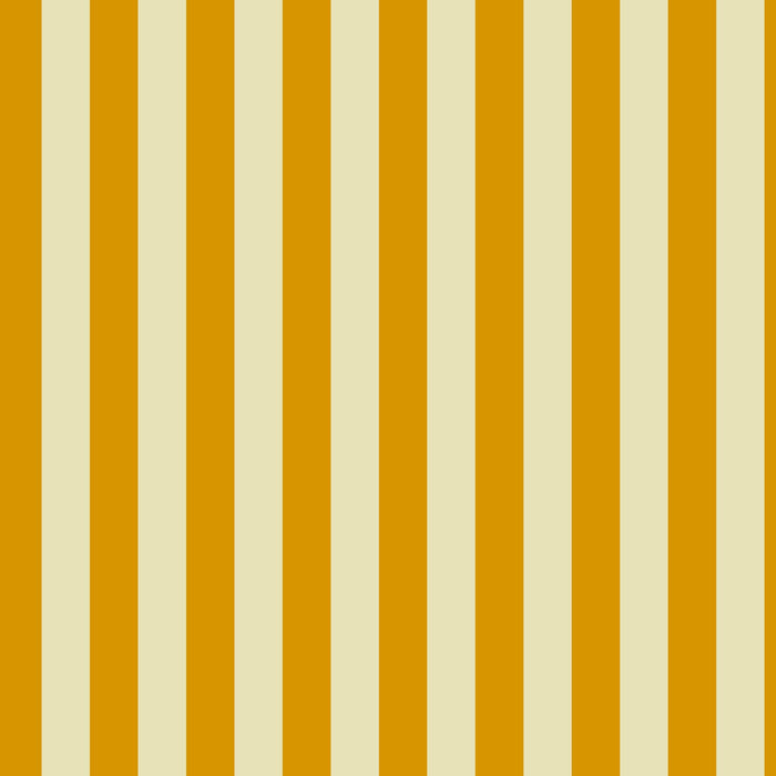 Gisborne Pumpkin Spice Stripe PRE ORDER