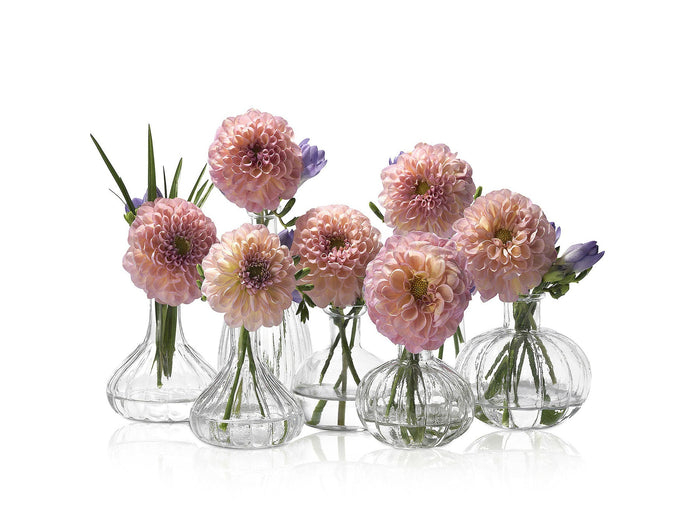 Glass Flower Vase - Janis, 9cm x 9cm