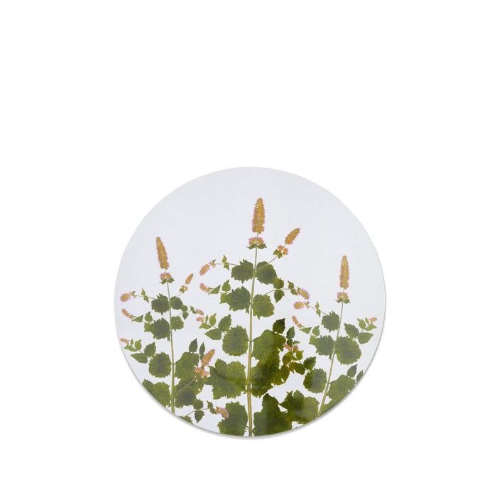 Herbarium Round Cork-backed Placemat in Mint, 34cm