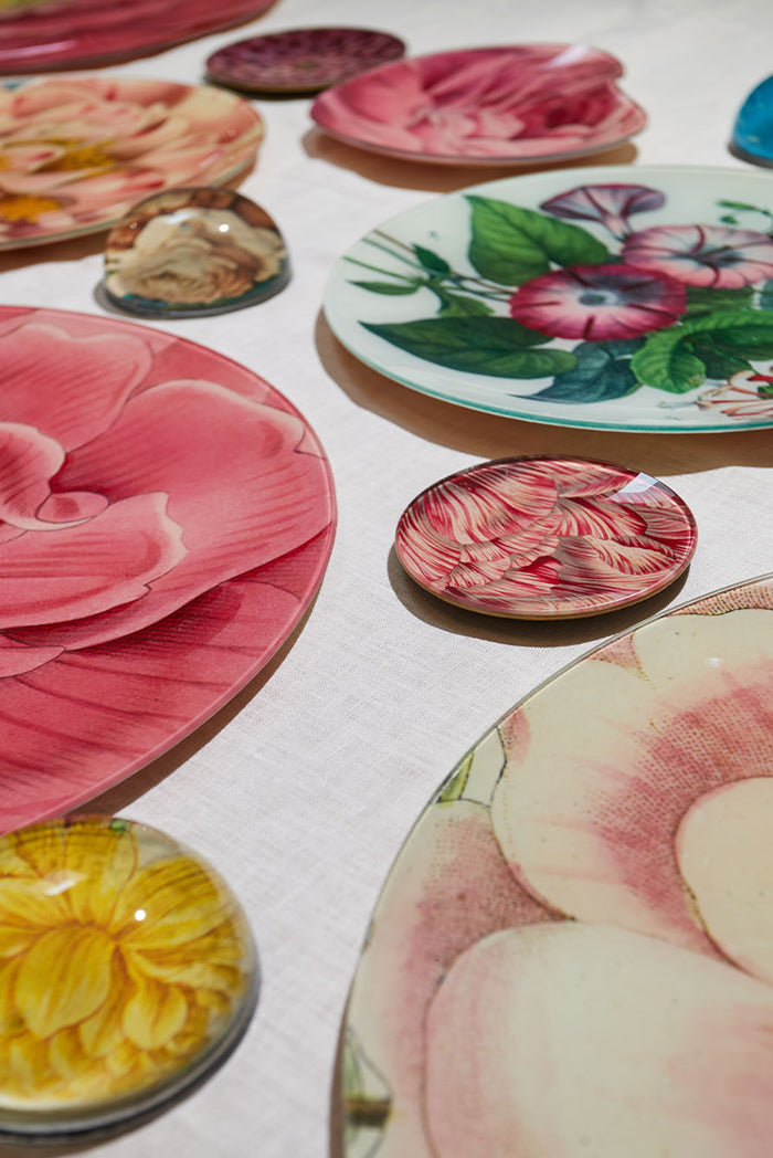 John Derian 'Double Tulip' Plate, 10cm