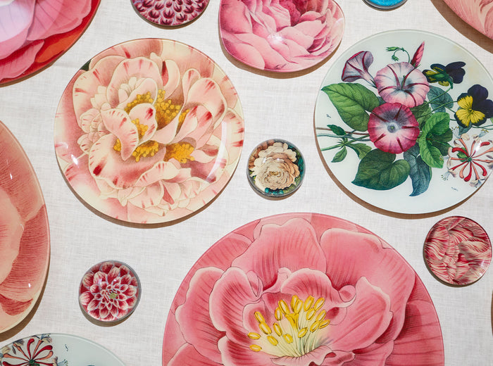 John Derian 'Rosea 693' Plate, 10cm