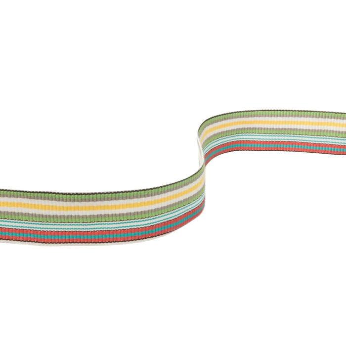 Multi Coloured Stripe Trim