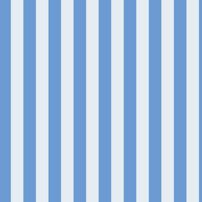 Ocean Beach Stripe PRE ORDER