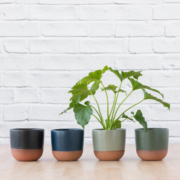 Pluto Planter - Sage Green - Shop Online!