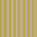 Ponsonby Road Stripe PRE ORDER
