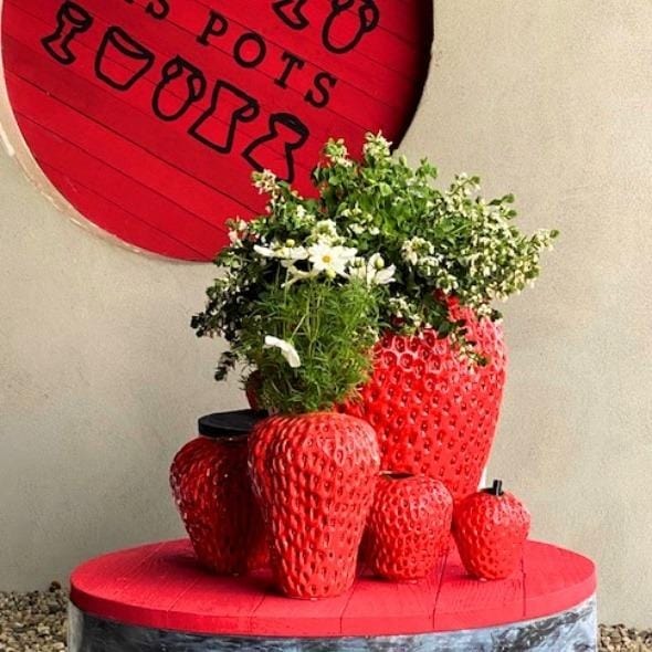 Strawberry vases sitting on a coffee table