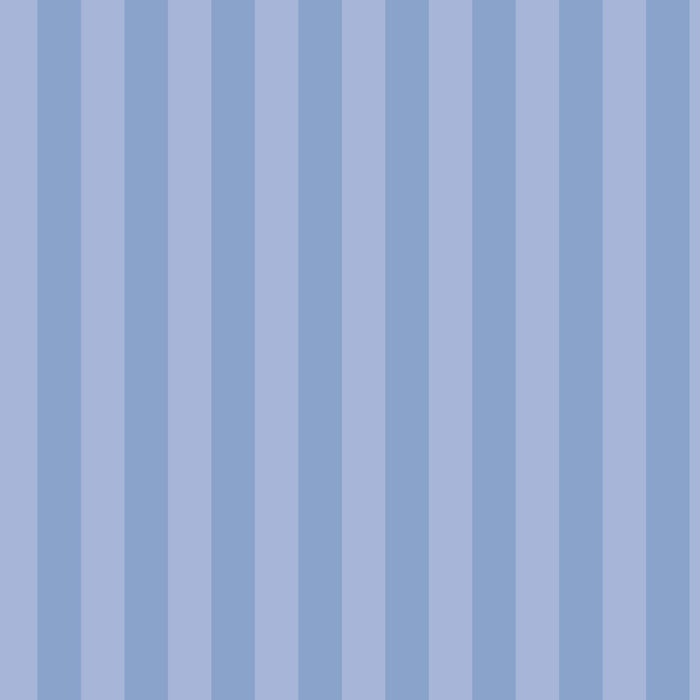 Remarkables Mountain Stripe PRE ORDER