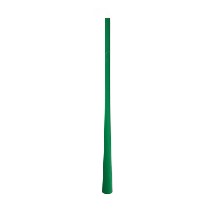 Shoehorn Green