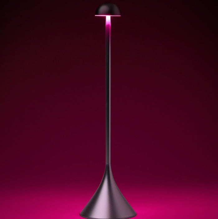 Steli Dome Protable LED Table Lamp, Silver