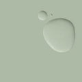 Terre Verte 2.5L Wall Paint