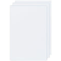 White Floursack Dishtowels Set of 3